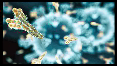 कोरोनाचा मुकाबला करणार नवी सिंथेटिक अँटिबॉडी