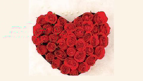 व्हॅलेंटाईन विक – डे2- प्रपोज डे