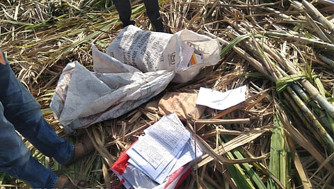 बीड : जय महेश कारखान्याच्या ऊस नोंदणीचे रेकॉर्ड सापडले उसाच्या फडात