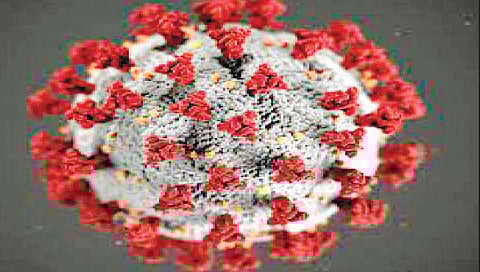 सावधगिरी बाळगा..! कोरोनाचे नवे ६३६ रुग्ण, तिघांचा मृत्यू