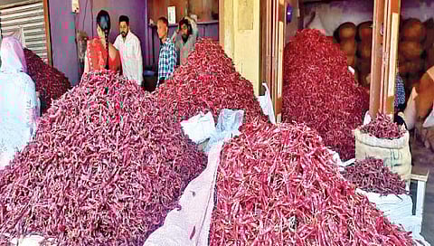 लाल मिरची झाली आणखी ‘तिखट’ ; गृहिणींचे बजेट कोलमडले