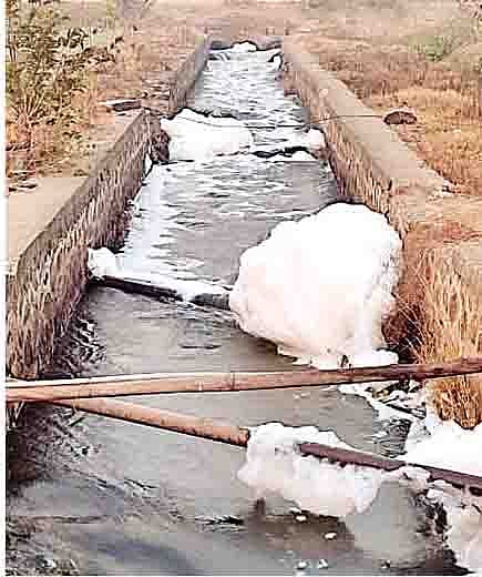 बेबी कालव्यातून केडगाव 22 फाटा परिसरात आलेले दूषित पाणी.
