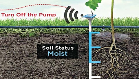 आता चक्क पिकाखाली ‘सेन्सर’