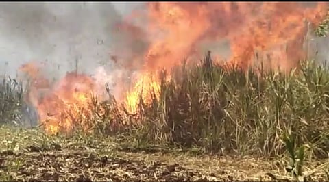 ऊसाच्या शेताला लागलेली भीषण आग