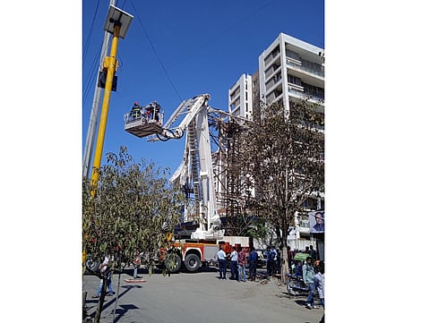 'Stop the road' due to pigeons in Pimpri