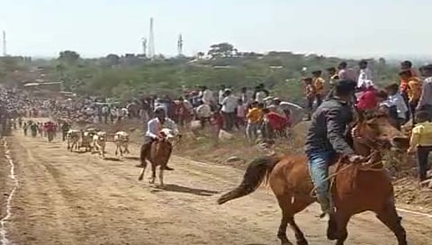 बैलगाडा शर्यत
