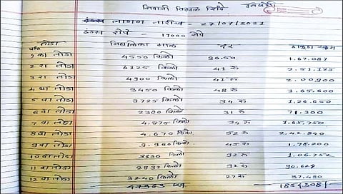 तिसंगी : शिवाजी शिंदे यांनी 12 व्या तोड्यापर्यंतच 48 टन तर 14 व्या तोड्याअखेर 53 टन ढोबळी मिरचीचे उत्पादन घेतले.