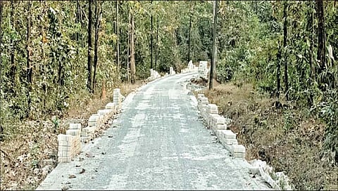 होंडा : अखेर धनगरवाड्यावर पोहोचला रस्ता