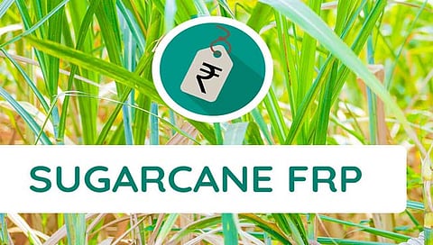 Sugarcane FRP : ‘एफआरपी’ मिळणार दोन टप्प्यांत; सरकार-कारखानदार विरुद्ध शेतकरी संघटना संघर्ष पेटणार