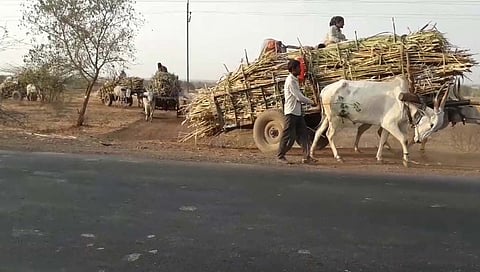 Kurundwad : बैलगाडी चाकाखाली सापडून मुलीचा मृत्यू