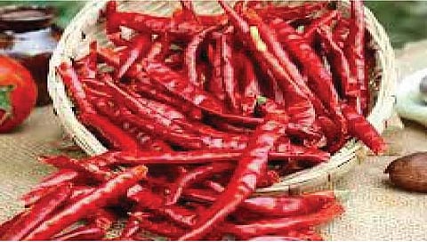 कोल्हापूर : लाल मिरची झाली तिखट, जाणून घ्या प्रतवारीनुसार भाव