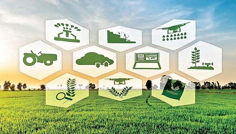 एफपीओ : शेतकर्यांसाठी फायद्याचे