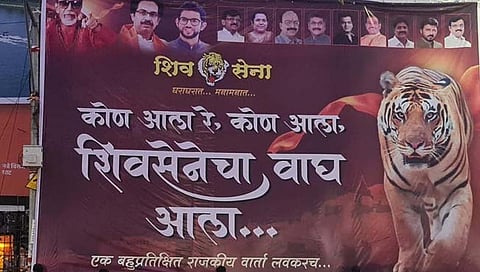 शिकार ठरली, पण ‘तो’ वाघ नक्की कोण कळेना ! पुण्यात शिवसेनेच्या पोस्टरबाजीने चर्चेला उधाण
