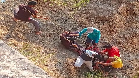 रायगड : शिवज्योत आणण्यासाठी गेलेल्या तरूणांचा अपघात; दुचाकी २०० फूट खोल दरीत कोसळली