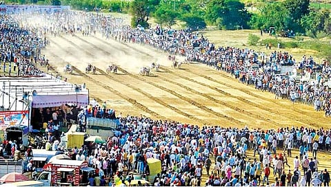 पुसेगावात घुमली ‘भिर्रर्र...’ची आरोळी