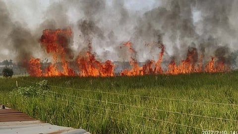 पाथर्डी : तनपुरवाडी शिवारातील २५ ते ३० एकरातील ऊस जळाला