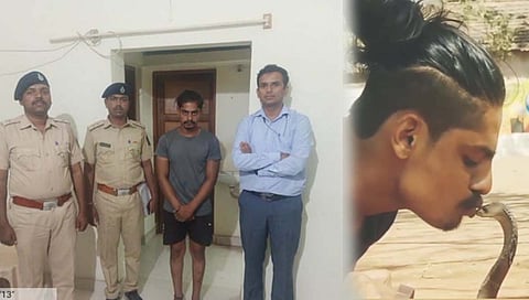 इस्लामपूर : नागाचा किस घेत स्टंट करणाऱ्या तरूणाचा वनविभागानं केला ‘करेक्ट कार्यक्रम’