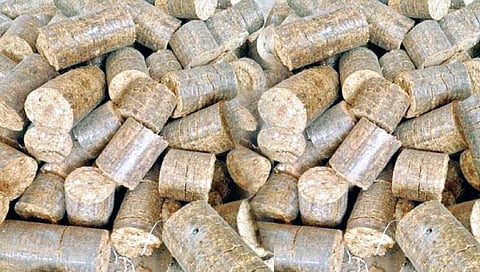 पश्चिम महाराष्ट्रात सर्वप्रथम कराडमध्ये वापर; वृक्ष तोडीस बसणार चाप