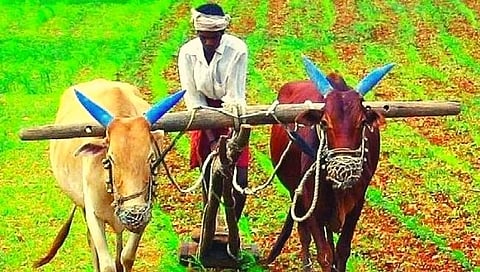 कृषी कायद्यांवर ८६ टक्के संघटना खूश