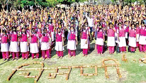 सोलापूर : मुलींनी चिमण्यांसाठी बनविली दोन हजार घरटी