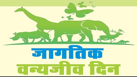 नाशिक : पेट शॉपबाहेर झळकणार ‘वन्यजीव संरक्षण कायदा’ ; तस्करी रोखण्यासाठी वनविभागाचा उपक्रम