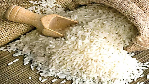 तांदूळ निर्यातीत नागपूरची आगेकूच; जानेवारीत ६ हजार कंटेनर रवाना