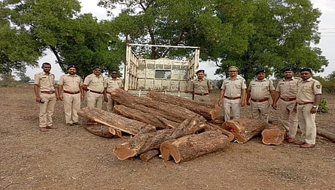 नाशिक : खैर लाकडाची चोरी पकडली ; वाहनचालकासह चोरटे मात्र फरार