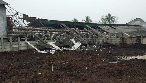 सांगली : अवकाळी पावसाने वाळवा तालुक्यातील पोल्ट्री व्यवसायकांचे नुकसान