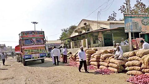 सोलापूर : बाजार समिती : दहा हजार कुटुंबांचा उदरनिर्वाह