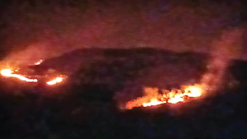 त्र्यंबकला ब्रम्हगिरी पर्वतावर लागलेल्या आगीत शेकडो वृक्ष जळून खाक