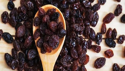 Black Raisins Benefits: हाडे मजबूत करण्यासाठी काळा मनुका गुणकारी