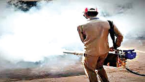 नाशिक : मलेरिया विभागाला जाग ; ठेकेदाराला जिओ टॅग करण्याची सक्ती