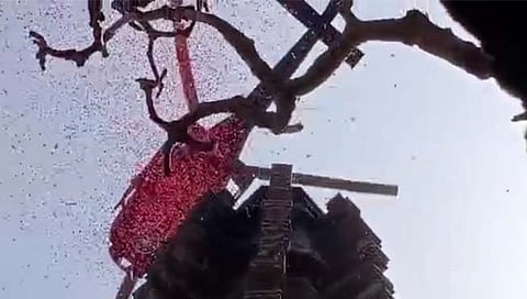 विटा : रेवण सिद्ध मंदिरावर प्रथमच हेलिकॉप्टरमधून पुष्पवृष्टी