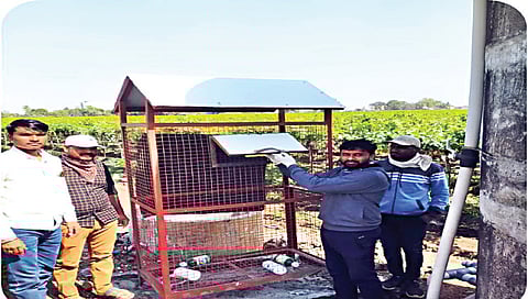 शेतातील प्लास्टिक कचर्याचा होणार पुनर्वापर ; नाशिकमध्ये विविध भागात संकलन केंद्रे