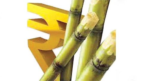 सांगली जिल्ह्यात दोन वर्षे कारखान्यांना साखर निर्यात अनुदान नाहीच!