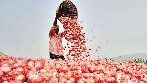 अवकाळी पावसाचे सावट; आभाळ काळवंडलं, शेतकरी धास्तावला