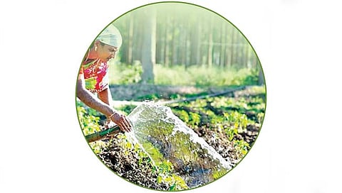 कोल्हापूर : शेती अन् शेतकर्यांसाठी दिवसाच वीज फायद्याची!