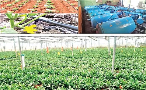 Agriculture: पाणीबचतीचा ‘कारभारवाडी पॅटर्न’