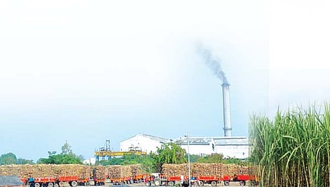 राज्यातील साखर उत्पादनात कोल्हापूर आघाडीवर, दूधगंगा-वेदगंगा १२.९७ टक्के उतार्यासह प्रथम स्थानी