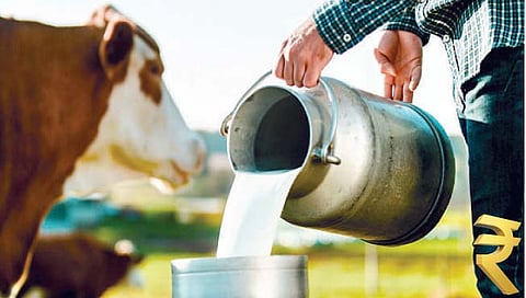 परराज्यांतील डेअर्यांकडून जादा दर
सहकारातील बोके मात्र मलई खाण्यात मस्त