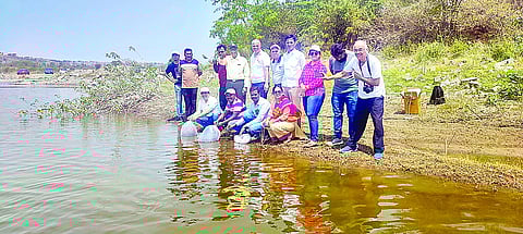 जगातून नामशेष झालेल्या महाशीर अर्थात देवमाश्यांचे मत्स्यबीज तलावात सोडताना.