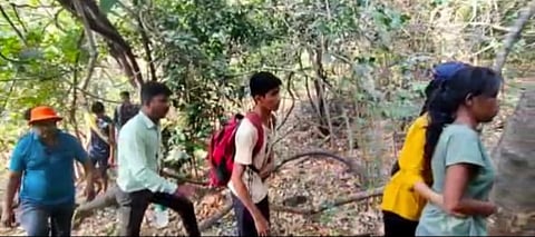 Bee attack on tourists at Lonavla