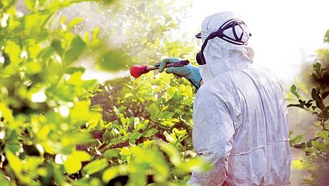 Pesticides : धुरीजन्य कीटकनाशकांचा वापर
