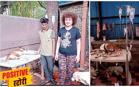 भटक्या कुत्र्यांच्या सेवेत मग्न असलेल्या पद्मिनी. दुसऱ्या छायाचित्रात आजारी श्वानावर सलाईनद्वारे उपचार करताना.