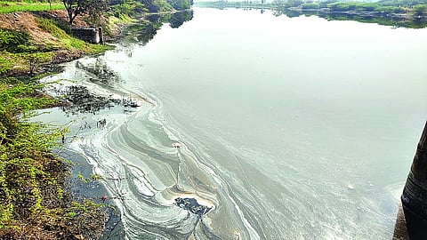 नीरेतील प्रदुषणाने शेती आणि माणसाचे जगणे मुश्कील झाले आहे.