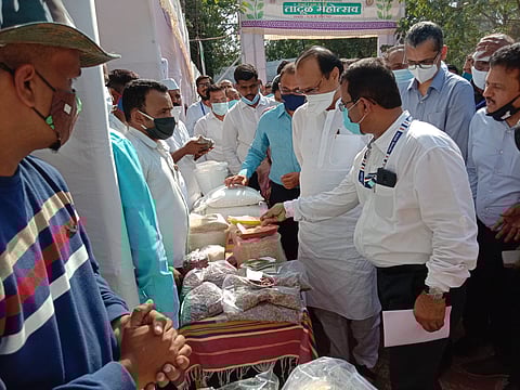 तांदुळ महोत्सवात माहिती घेताना अजित पवार