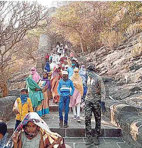 किल्ले शिवनेरी (ता. जुन्नर) गडावरील मधमाश्यांच्या हल्ल्यामुळे खाली येताना पर्यटक.