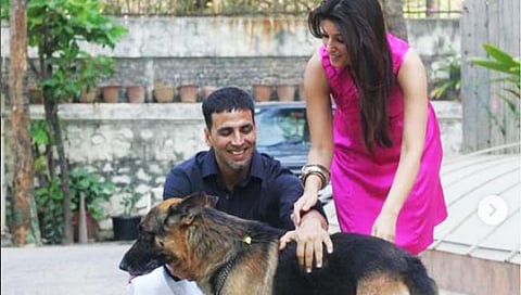 akshay kumar and twinkle dog cleo