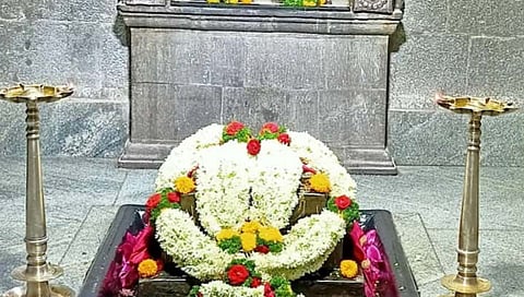 भोसरी : अत्यावश्यक सेवांसाठी आपत्ती व्यवस्थापन संघ सज्ज