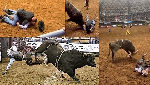 Bull Riding: खवळलेल्या बैलापासून जिवाची पर्वा न करता बापाने वाचवला मुलाचा जीव